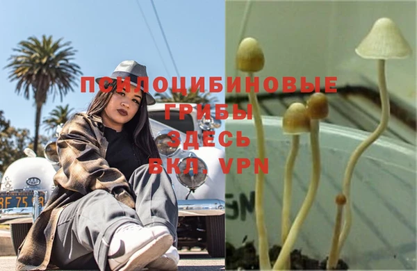 метадон Няндома