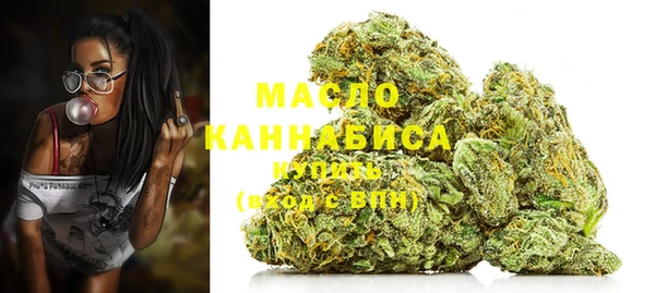 метадон Няндома
